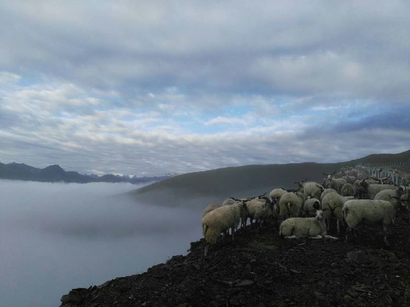 美中国】达瓦更扎看云海pg电子中国网站【大(图2)